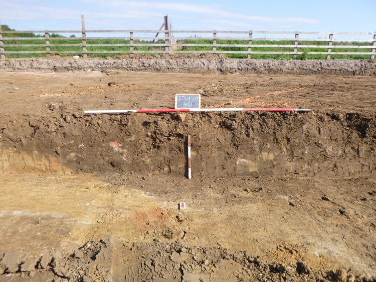 Thumbnail of Southeast facing relationship section of pits [223], [226], and [230]