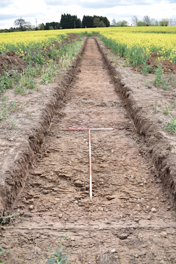 E facing view of Trench008. Copyright HS2 Ltd.
