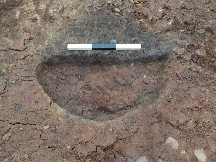 East Facing Section of Pit/Posthole [001/002] Half Sectioned no Board