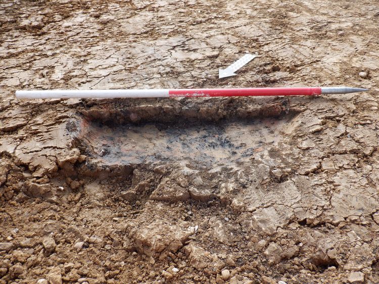 hs2archa1-503705: Data from Fieldwalking and Construction Integrated Recording at Field 46, North of Ilett's Farm, Radstone, West Northamptonshire, 2021-2022 (HS2 Phase One). Copyright:  High Speed Two Ltd.