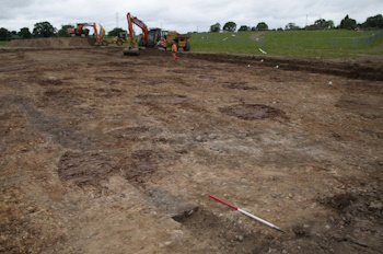 Margett's Pit 2009 Excavation Area, viewed from the southwest.