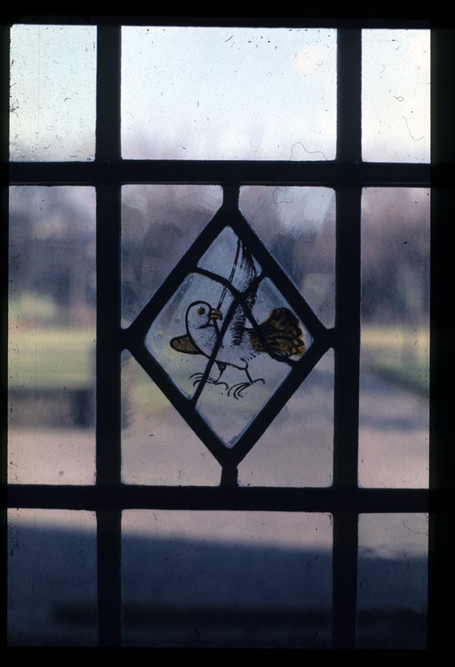 19923.jpg