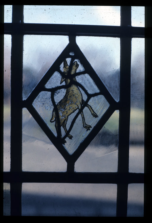 19924.jpg