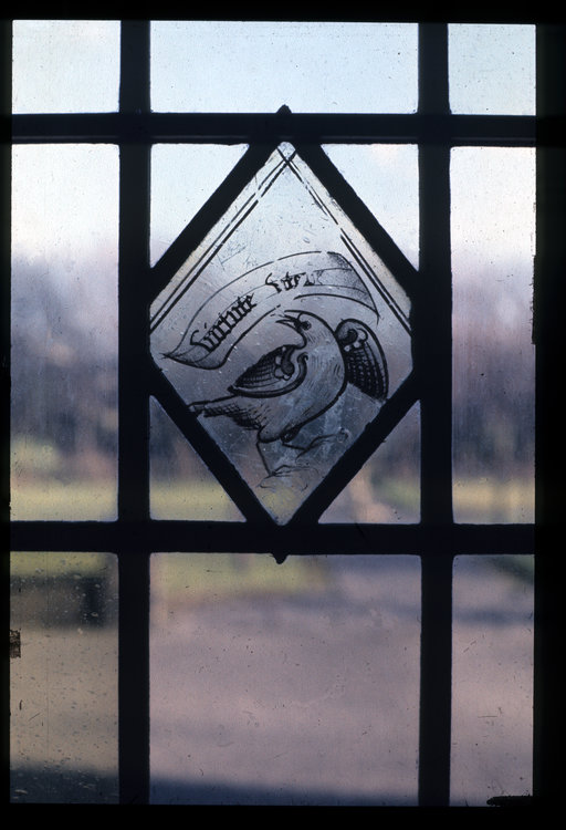 19925.jpg