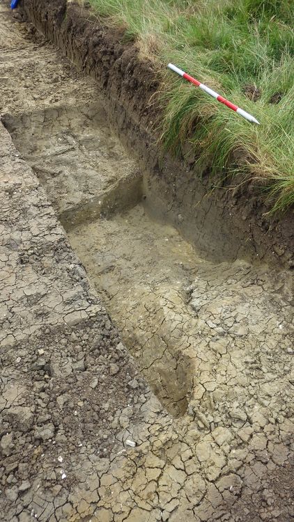 oxfordar1-521307: Digital Archive from Archaeological Evaluations at Kingsbrook, Aylesbury, Buckinghamshire, 2018/2019. Copyright:  Oxford Archaeology (South)