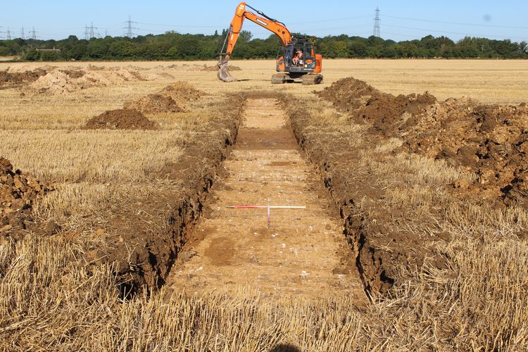 cotswold2-521915: Site Data of an Archaeological Evaluation at Pelham Spring Solar Farm, Maggotts End, Berden, Essex, August 2023. Copyright:  Cotswold Archaeology