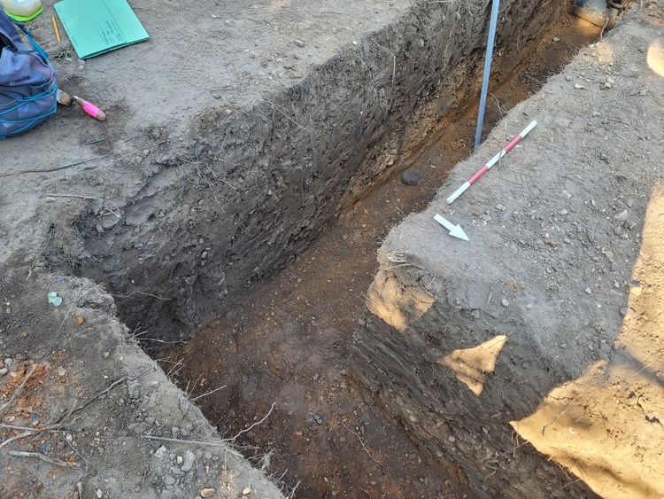 colchest3-502869: Digital Archive from Archaeological Monitoring at The Chantry, Colchester, Essex, June 2022. Copyright:  Colchester Archaeological Trust