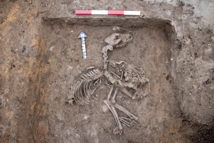 cotswold2-522712: Digital Archive from Archaeological Excavations at Pershore Road and Roman Meadow, Eckington, Worcestershire, November 2020 to April 2021. Copyright:  Cotswold Archaeology