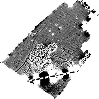 molanort1-524352: Data from Geophysical Survey Work at Newton Leys, Phase 1, March 2024. Copyright:  MOLA Northampton