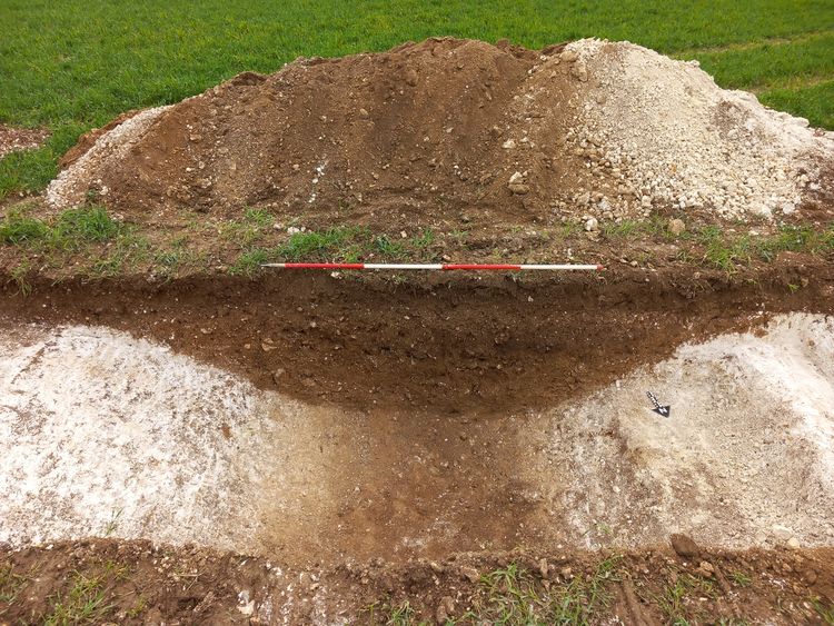 cotswold2-526871: Digital Archive from an Archaeological Evaluation at Lower Wyke Farm, Andover, Hampshire, March 2024. Copyright:  Cotswold Archaeology