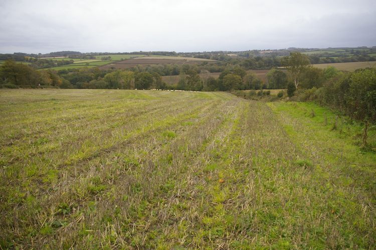 southwes1-372773: Site Data from an Archaeological Assessment and Geophysical Survey South of Two Post Lane, Spreyton, Devon, October 2019. Copyright:  South West Archaeology Ltd