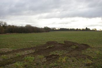 Image from Images from an Archaeological Evaluation at Brascote Lane, Hinckley and Bosworth, Leicestershire, February to March 2022