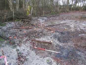 Image from Images from an Archaeological Evaluation at Pipeyard Lane Works, Pipeyard Lane, Newbold Coleorton, Leicestershire, January 2022