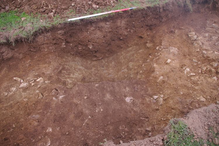 Thumbnail of A shot of Ditch [1003]; looking north-north-west (1m scale).