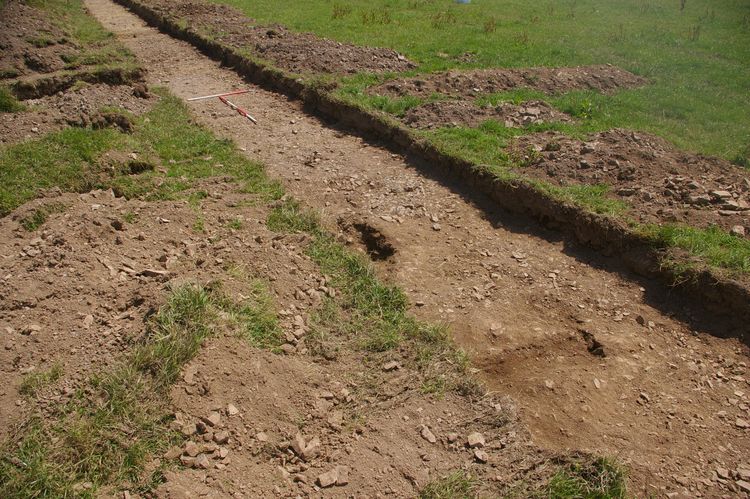 Thumbnail of A shot of Ditch [1303] and Ditch [1305] and Ditch [1307]; looking east (1m and 2m scales).