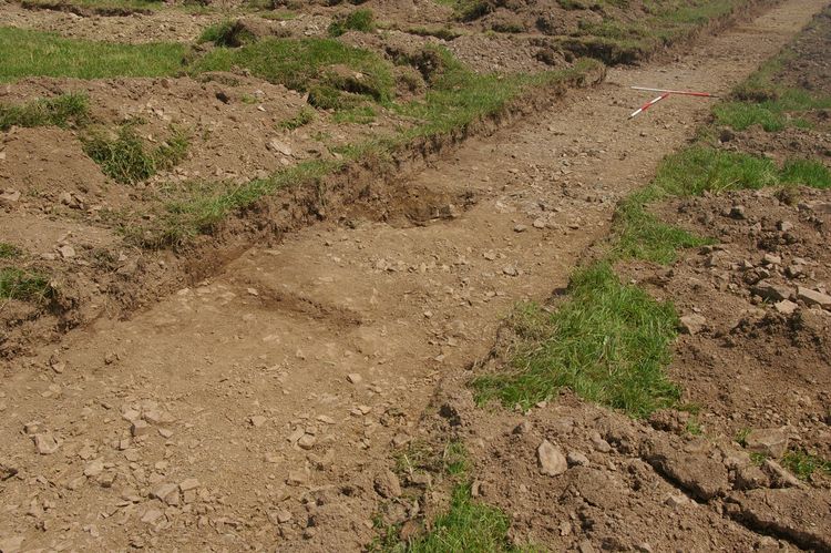 Thumbnail of A shot of Ditch [1303] and Ditch [1305] and Ditch [1307]; looking north (1m and 2m scales).
