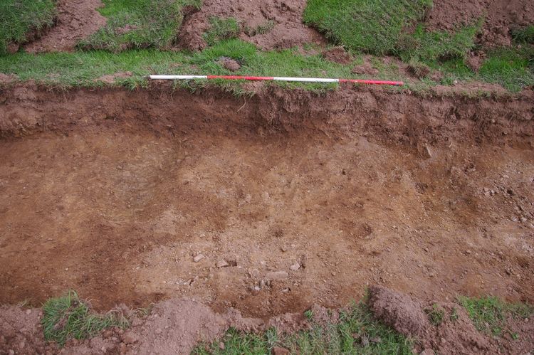 Thumbnail of A shot of Ditch [204] and Ditch [206]; looking north-north-west (2m scale).