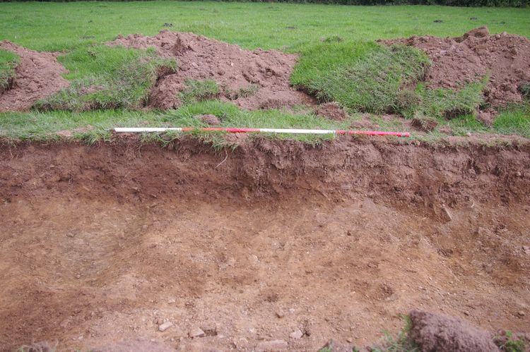 Thumbnail of A shot of Ditch [204] and Ditch [206]; looking north-north-west (2m scale).