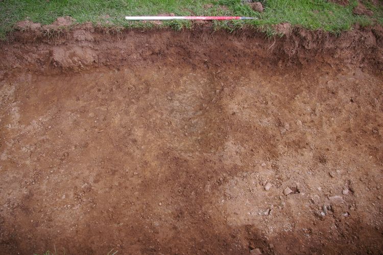 Thumbnail of A shot of Ditch [204]; looking north-north-west (1m scale).