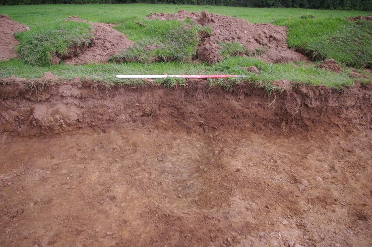 Thumbnail of A shot of Ditch [204]; looking north-north-west (1m scale).