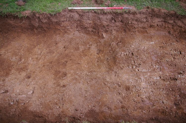 Thumbnail of A shot of Ditch [206]; looking north-north-west (1m scale).