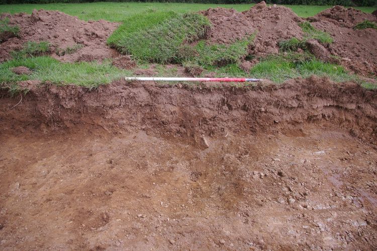 Thumbnail of A shot of Ditch [206]; looking north-north-west (1m scale).
