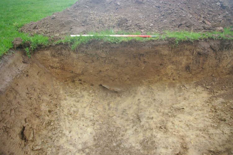 Thumbnail of A shot of Ditch [304]; looking north-north-west (1m scale).