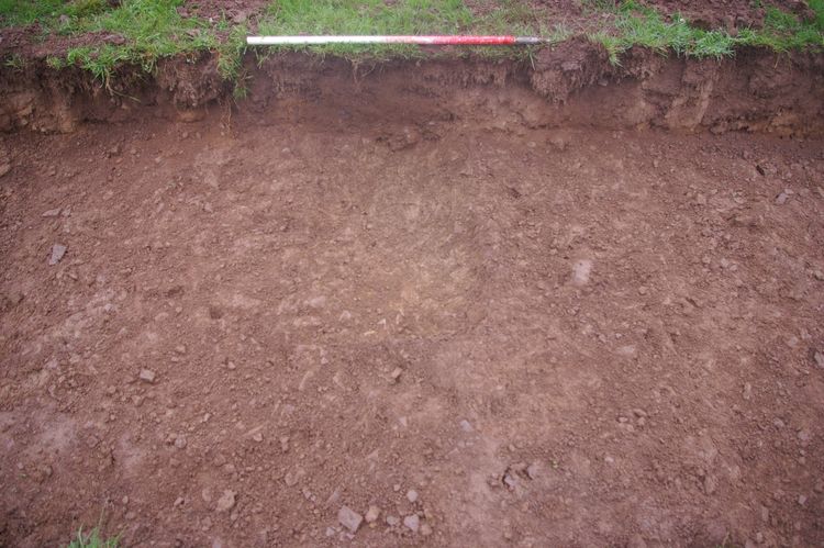 Thumbnail of A shot of Ditch [309]; looking north-north-west (1m scale).