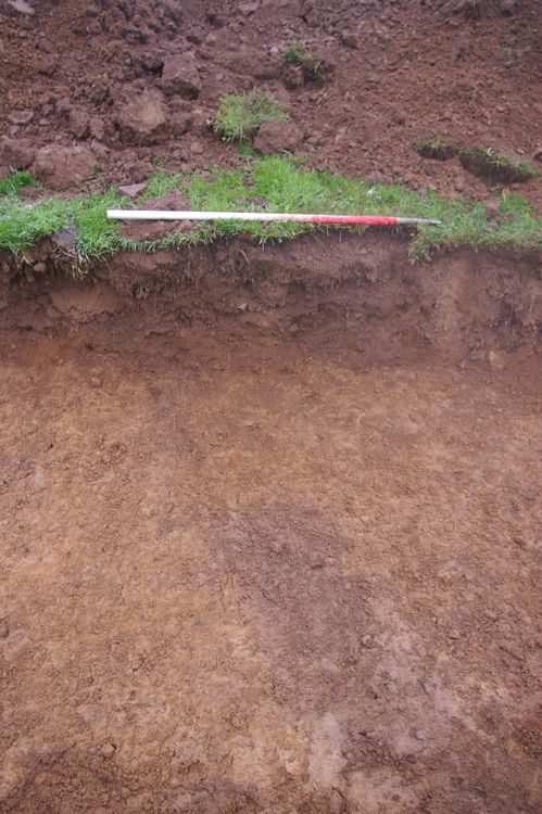 Thumbnail of A shot of Ditch [311]; looking north-north-west (1m scale).