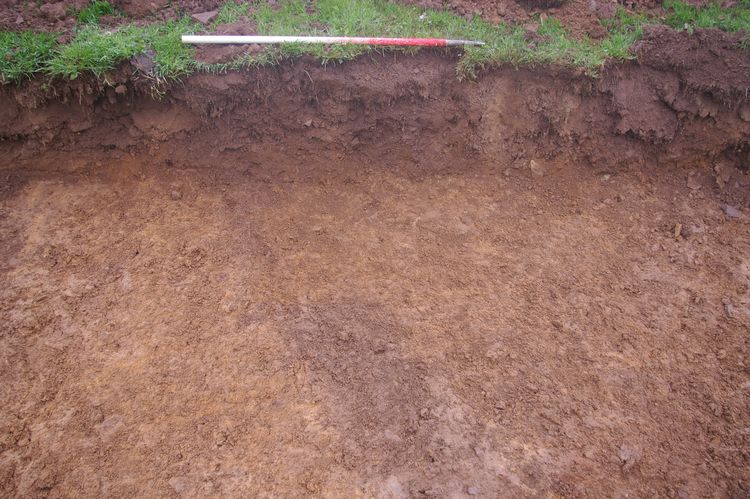 Thumbnail of A shot of Ditch [311]; looking north-north-west (1m scale).