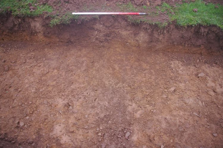 Thumbnail of A shot of Ditch [313]; looking north-north-west (1m scale).