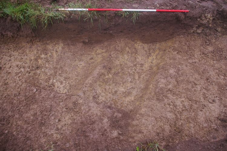 Thumbnail of A shot of Ditch [703] and Ditch [705]; looking east-north-east (2m scale).