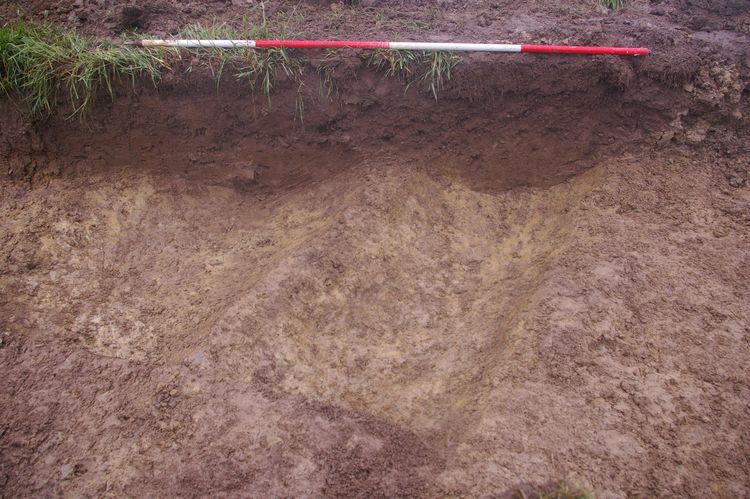Thumbnail of A shot of Ditch [703] and Ditch [705]; looking east-north-east (2m scale).