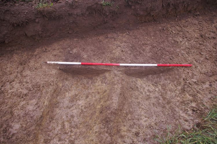 Thumbnail of A shot of Ditch [703] and Ditch [705]; looking west-north-west (2m scale).