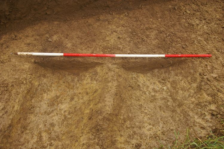 Thumbnail of A shot of Ditch [703] and Ditch [705]; looking west-north-west (2m scale).