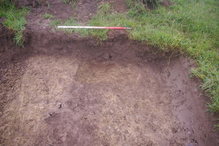 Thumbnail of A shot of Ditch [707]; looking east-north-east (1m scale).