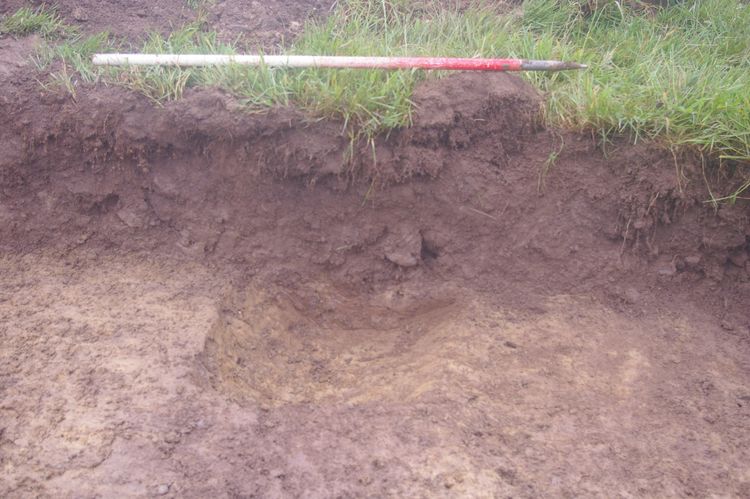 Thumbnail of A shot of Ditch [707]; looking east-north-east (1m scale).