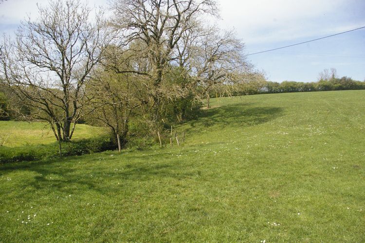 Thumbnail of A shot of Field 01 with River Deer; looking north-north-west (no scale).
