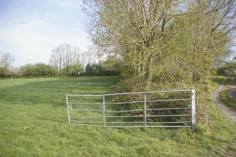 Thumbnail of A shot of Field 02; looking north-north-west (no scale).