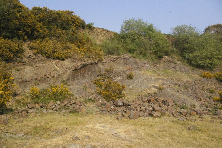 Thumbnail of A shot of Field 03 with quarry; looking east-north-east (no scale).