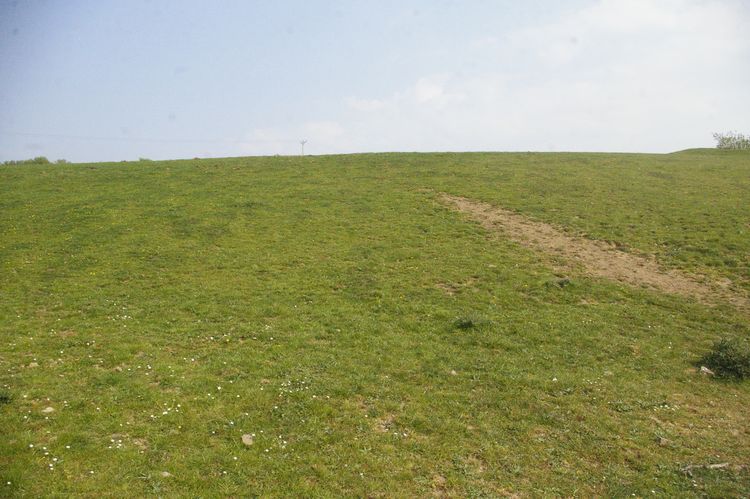 Thumbnail of A shot of Field 03; looking east-north-east (no scale).
