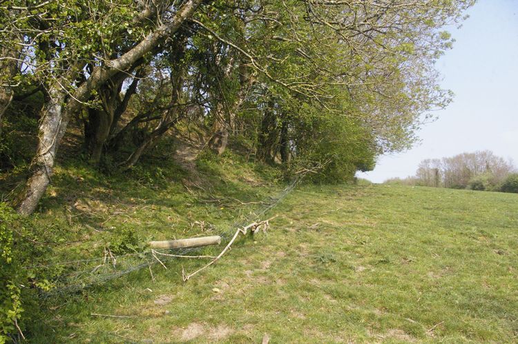 Thumbnail of A shot of Field 03; looking east-north-east (no scale).