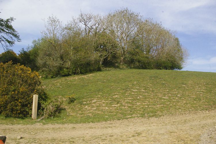 Thumbnail of A shot of Field 03; looking north-north-east (no scale).