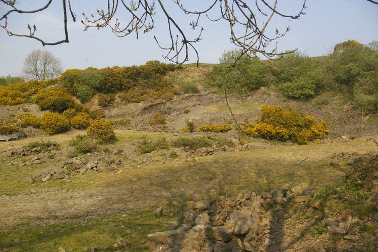 Thumbnail of A shot of Field 03 with quarry; looking north-north-east (no scale).