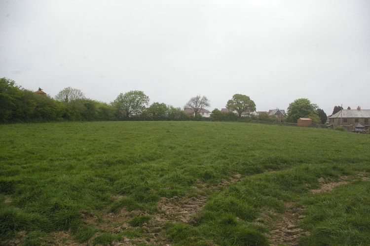 Thumbnail of A shot of Field 05; looking east-north-east (no scale).