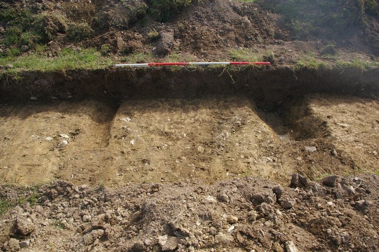 Thumbnail of A shot of Gully [1311] and Ditch [1313]; looking north-east (2m scale).