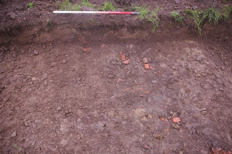 Thumbnail of A shot of Land Drain [709]; looking east-north-east (1m scale).