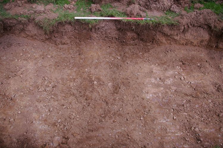 Thumbnail of A shot of Plough Mark [208]; looking north-north-west (1m scale).