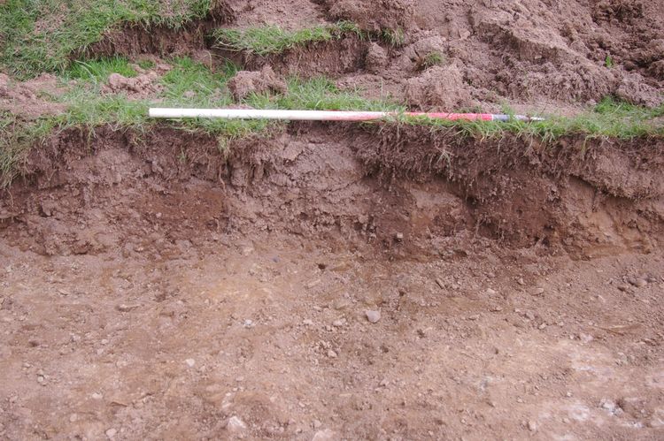 Thumbnail of A shot of Plough Mark [208]; looking north-north-west (1m scale).