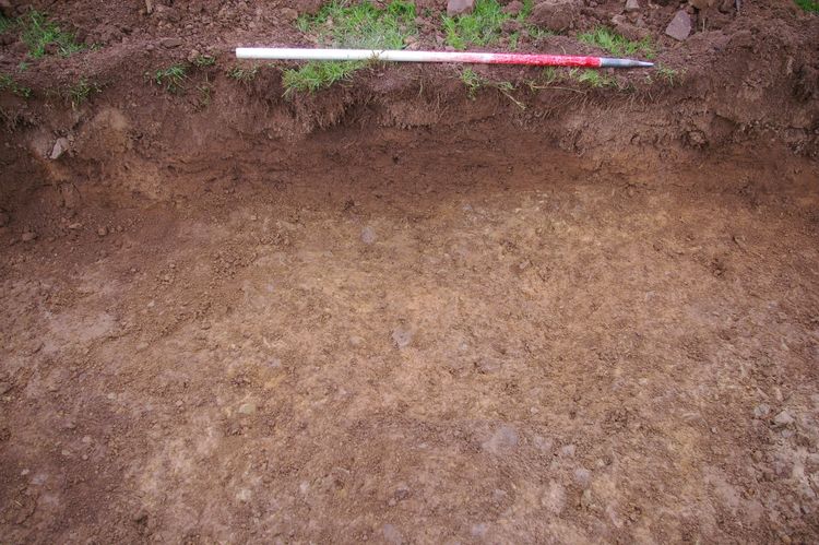 Thumbnail of A shot of Post Hole [109] and Post Hole [111]; looking south-west (1m scale).